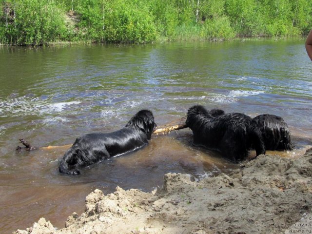 Фотография № 99036