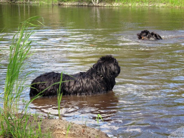 Фотография № 99039