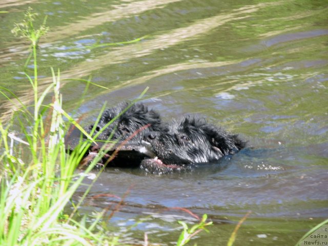 Фотография № 99041