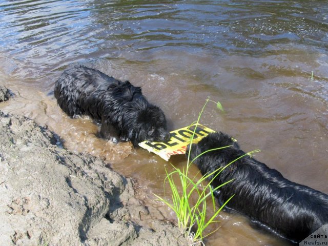 Фотография № 99043