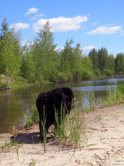 Фотография № 99049