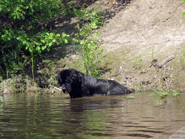 Фотография № 99050