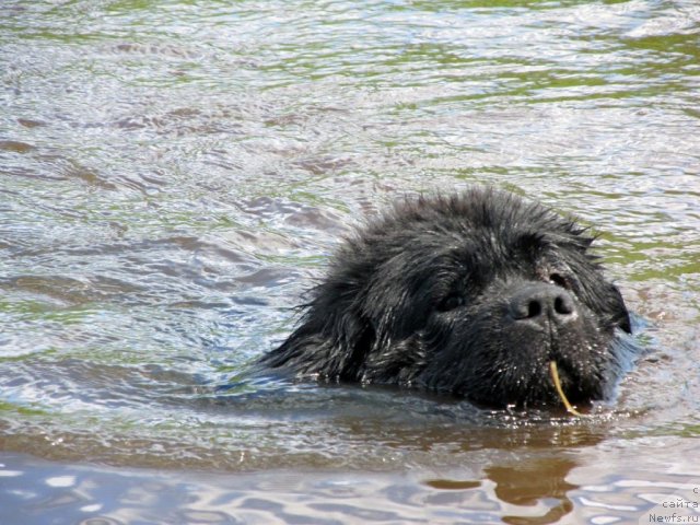 Фотография № 99053