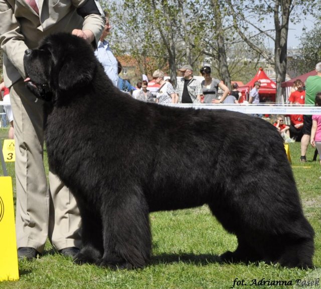 Фотография № 99079