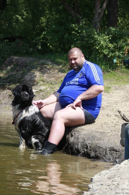 Фото: ньюфаундленд Piternyuf I Did It Again (Питерньюф И Дид Ит Агаин)