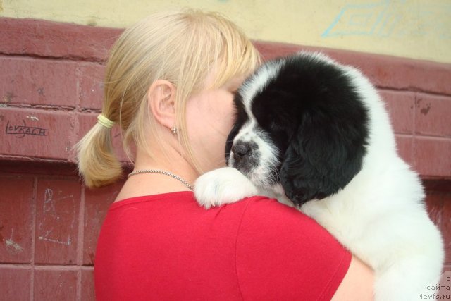 Фотография № 99159