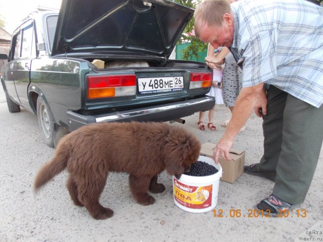 Фотография № 99165