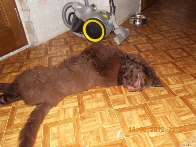 Фотография № 99166