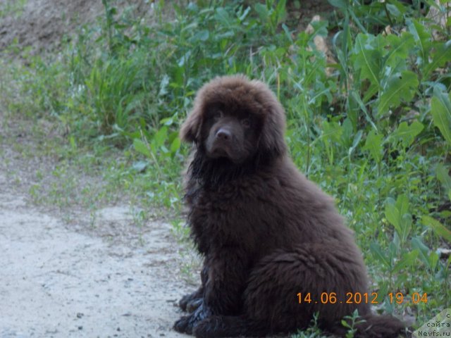 Фотография № 99167