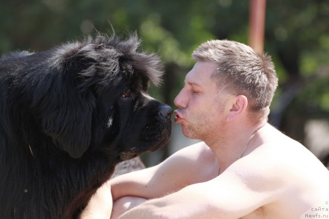 Фотография № 99173