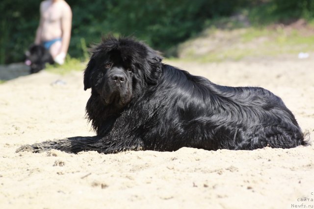 Фотография № 99180