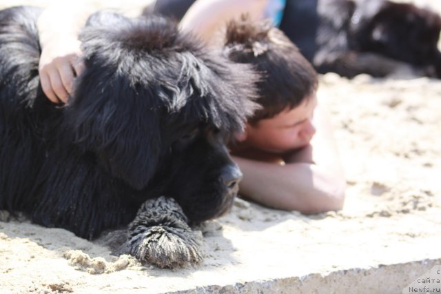 Фотография № 99186