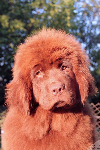 Фотография № 99198