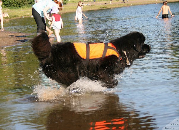 Фотография № 99281