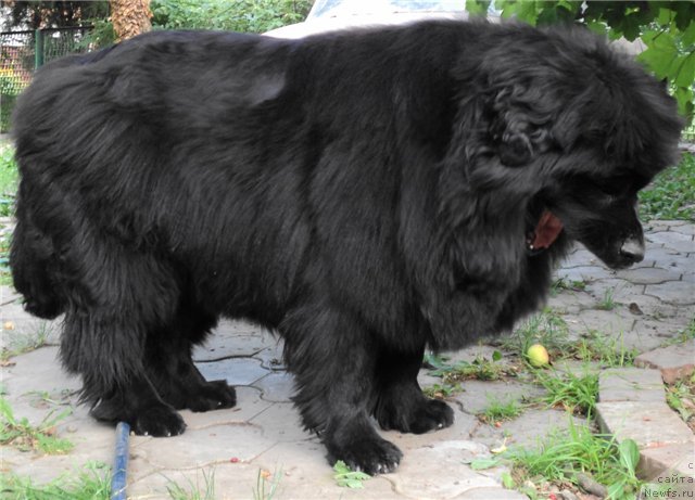 Фото: Римская Империя