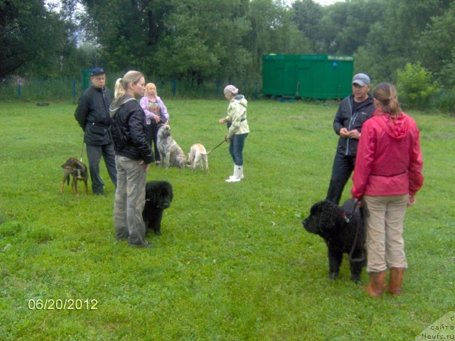 Фотография № 99366