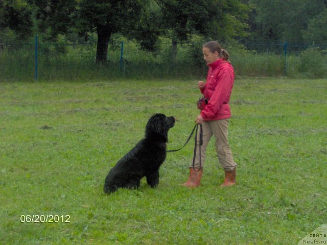 Фотография № 99367