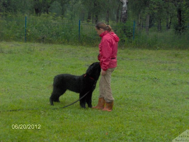 Фотография № 99369