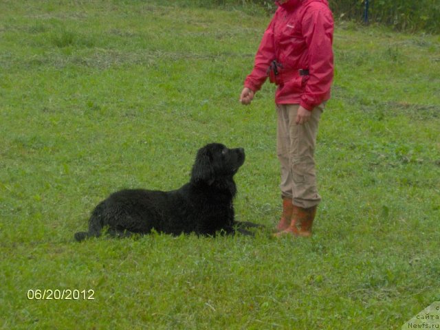 Фотография № 99370