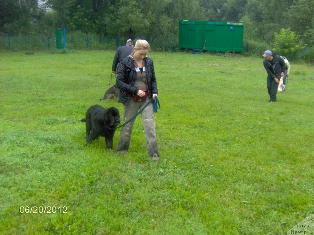 Фотография № 99371