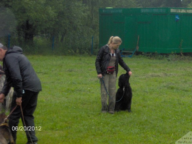 Фотография № 99372