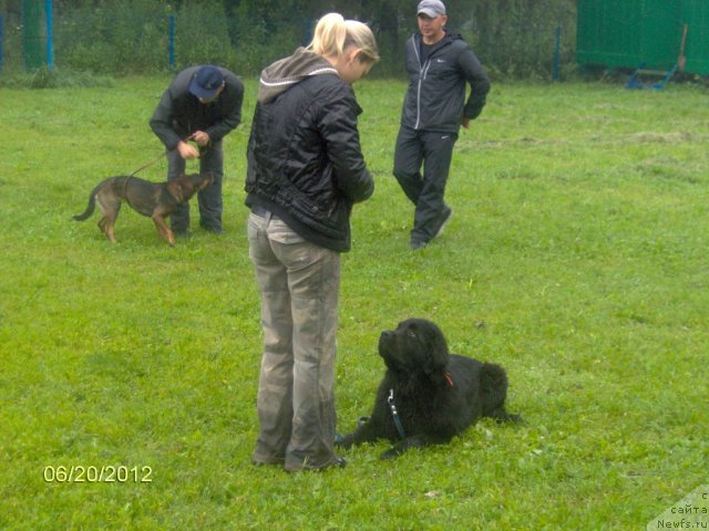 Фотография № 99373