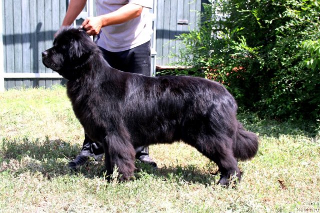 Фотография № 99422