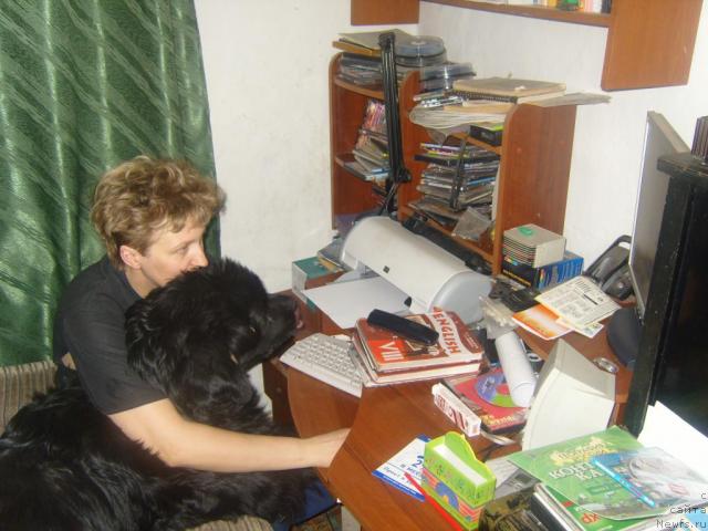 Фото: [p364] и Рябинушка от Сибирского Медведя