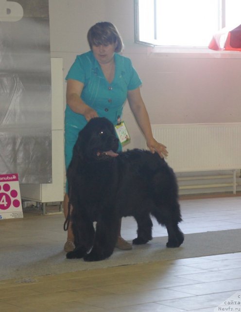 Фотография № 99447