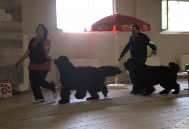 Фотография № 99448