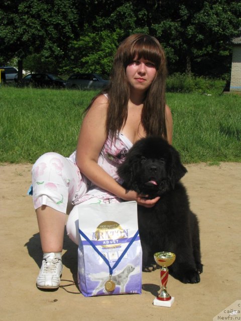 Фото: ньюфаундленд Tujur Bel' (Тужур Бель), Anna Portnyakova (Анна Портнякова)