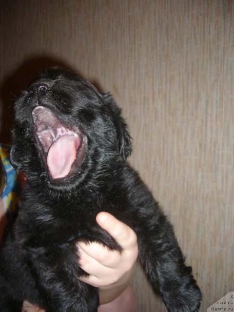 Фотография № 9949