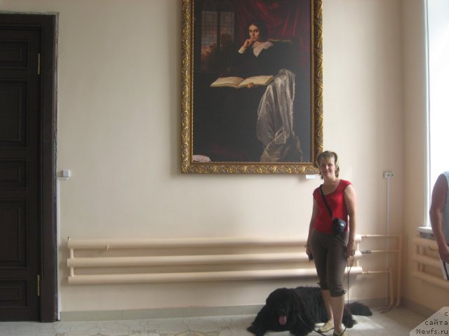 Фото: ньюфаундленд Aleksandriya Moya Radost' (Александрия Моя Радость), Ol'ga Budina (Ольга Будина)