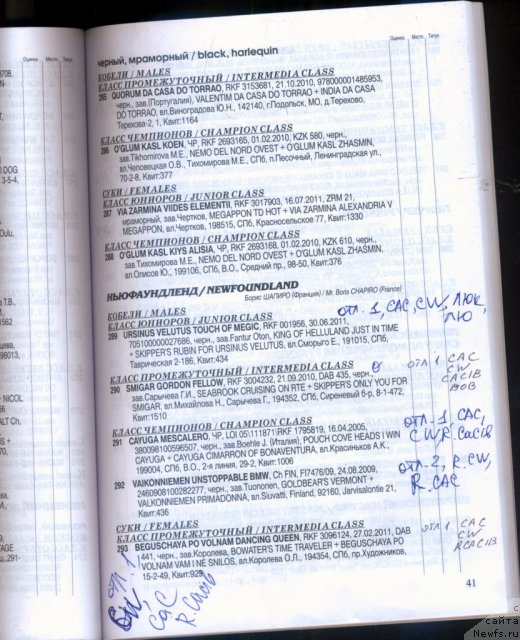 Фотография № 99568