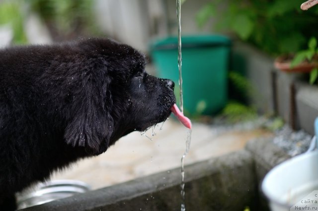 Фотография № 99592