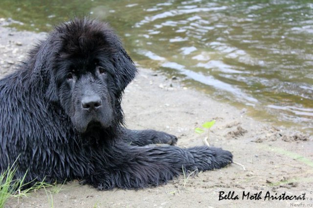 Фотография № 99658