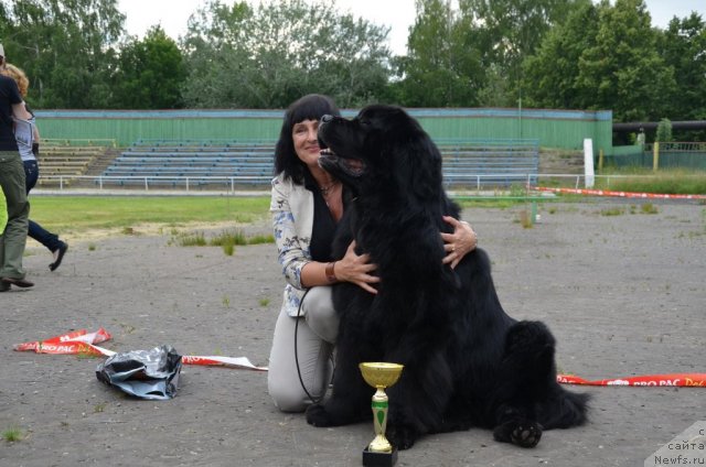 Фотография № 99736