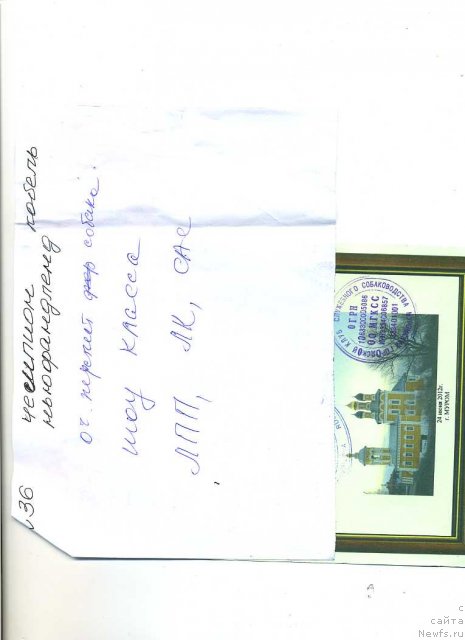 Фотография № 99738