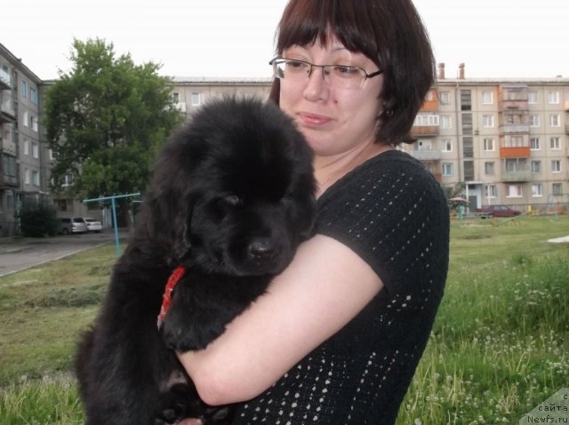 Фото: Elena Cyiganova (Елена Цыганова)