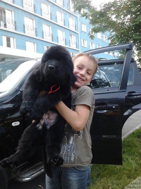 Фото: Elena Cyiganova (Елена Цыганова)