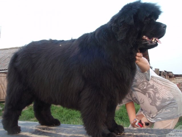 Фотография № 99773