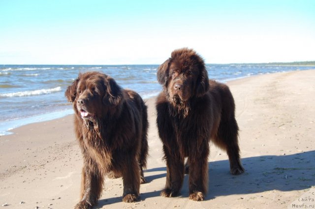 Фотография № 99794