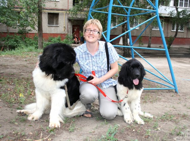 Фото: ньюфаундленд Super Premium Emu Net Ravnyih (Супер Премиум Ему Нет Равных), Margarita Borisova (Маргарита Борисова), ньюфаундленд CHernyiy SHarm Vankuver (Черный Шарм Ванкувер)