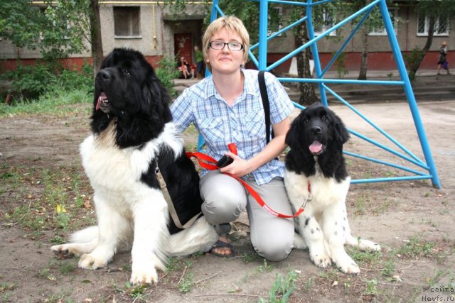 Фото: ньюфаундленд Super Premium Emu Net Ravnyih (Супер Премиум Ему Нет Равных), Margarita Borisova (Маргарита Борисова), ньюфаундленд CHernyiy SHarm Vankuver (Черный Шарм Ванкувер)