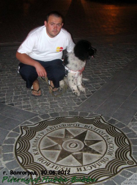 Фотография № 99838