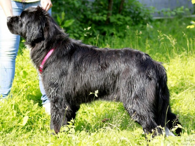 Фотография № 99856