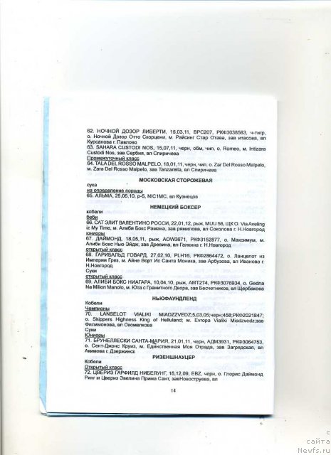 Фотография № 99907