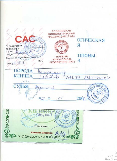 Фотография № 99908