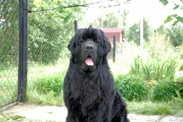 Фотография № 99986