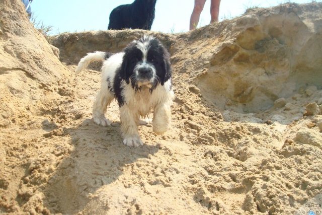 Фотография № 99998